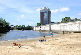 5759 Haken in Hamburg Rothenburgsort - Teile des ehem. Hafenbeckens wurde mit Sand verfllt; re. die Mauer einer Sturmflutanlage  - im Hintergrund das Hotel HolidayInn. Ein Hund spielt im Sand.