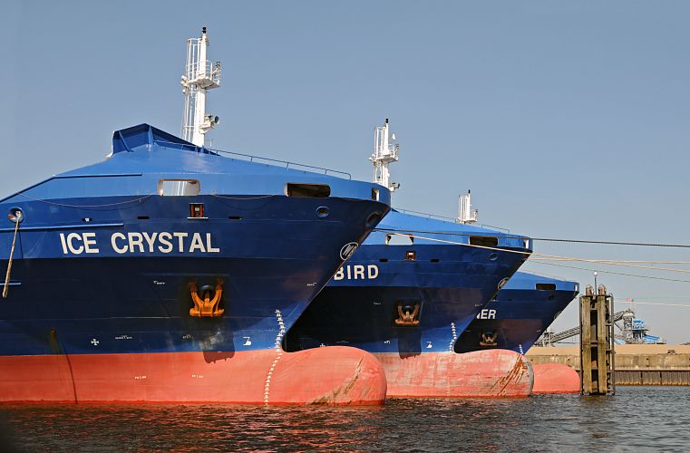 Schiffsfotos aus dem Hafen Hamburg / aufgelegte Frachter auf der Norderelbe; Schiffsbug  011_37-5872 Der Containertransport ist aufgrund der weltweiten Wirtschaftskrise zurck gegangen. Durch die berkapazitten liegen leere Container Feeder auf der Hamburger Norderelbe auf Reede. Drei Frachter sind als Auflieger in der Flussmitte der Norderelbe an den Dalben vertut. www.hamburg-fotograf.com