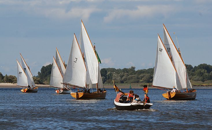 011_26059  Segelbootregatta auf der Elbe vor Ness-Sand; die Insel liegt vor Hamburg-Blankenese und ist unter Naturschutz gestellt. Im Vordergrund berquert ein Tuckerboot und fhrt Richtung Cranz.  www.christoph-bellin.de