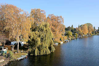 7290 Herbstbume, Weide mit ins Wasser der Bille hngende Zweigen - Schrebergrten / Kleingarten am Wasser in Hamburg Hamm.