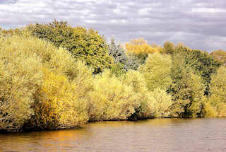 8726 Herbststimmung am Ufer des Schleusengrabens im Hamburger Stadtteil Bergedorf - die Bäume am Ufer des Kanals stehen dicht zusammung und sind bunt herbstlich gefärbt.