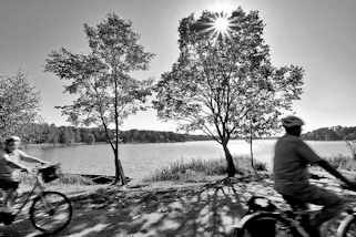 4731 Radfahrer auf der Spreewald-Radroute bei Schlepzig - strahlender Himmel, Birken am Wasser; Gegenlicht-Fotografie, die Sonne strahlt durch die Bäume.