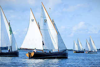 0263-2 Kutterregatta auf der Elbe / Unterelbe - Segelboote in Fahrt.