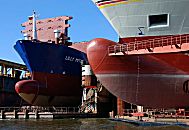 011_22087/00 zwei Schiffe liegen im Schwimmdock in der Schiffswerft im Reiherstieg, der Wasserverbindung im Hamburger Hafen zwischen Norderelbe und Sderelbe. Die neue Schiffslackierung glnzt in der Sonne - an dem mchtigen Schiffsbug, einem Wulstbug, sind die Zahlen zum Ablesen des Tiefgangs aufgemalt. Bei dem linken Frachtschiff im Dock sind die Ladeluken geffnet. 