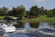 011_26062 Eine Herde Pferde stehen im Wasser oder auf einer Wiese am Ufer der Dove-Elbe. Ein Sportboot fhrt vorbei, die Insassen beobachten die Tiere. Das Wasserrevier der Dove-Elbe wird gern von Motorbooten befahren - es liegt dort auch eine Anzahl von Sportboothfen.    www.christoph-bellin.de