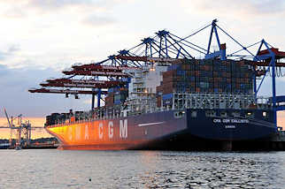 0839 CMA CGM  CALLISTO im Abendlicht am Container Terminal Burchardai.