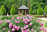 7927 Pavillon im Schulgarten des Volksparks in Hamburg Bahrenfeld, Bezirk Altona; ppig blhende Bauernrosen - Blumenbeete im Schulgarten.