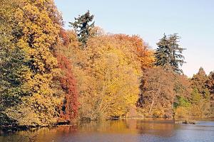 Herbstbume am Ufer des Poppenbttler Schleusenteichs - das Laub der Eichen und Buchen sind herbstlich gefrbt. Stadtteil Hamburg POPPENBTTEL, Bezirk WANDSBEK. Das Dorf Poppenbttel ist seit 1336 urkundlich nachweisbar. Die grundherrlichen Rechte am Dorf Poppenbttel lagen seit 1336/1389 beim Hamburger Domkapitel und gingen 1803 an den dnischen Knig ber. 1867-1937 hatte Poppenbttel eine gewhlte Gemeindeverwaltung. Die landesherrlichen Rechte lagen zunchst bei der Grafschaft Holstein-Pinneberg, die 1640 an den dnischen Knig kam und zum Amt Pinneberg, welches 1867 mit ganz Schleswig-Holstein an Preuen fiel. Von etwa 1850 bis zum Ersten Weltkrieg geriet das Dorf zunehmend unter den Einfluss der Grostadt Hamburg. In den 1850er Jahren wurde der grte Teil der Landwirtschaftsflche aufgekauft. Das Dorf wurde im Jahre 1937 eingemeindet. Auf einer Flche von 8,1 km leben jetzt ca. 22 000 Menschen im Stadtteil.