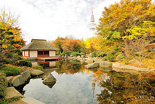 0322 Herbst in Hamburg - Japanischer Garten Teehaus und Fernsehturm in Planten un Blomen; Herbstbume in prchtigen Farben - Indian Summer / Goldener Herbst.