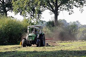 Mit einem Trecker wird das Gras zur Heuernte auf der Wiese gewendet.  Stadtteil SLLDORF - Bezirk Hamburg ALTONA. Die Siedlungsgeschichte Slldorfs geht auf die vorrmische Zeit zurck. 1256 wird Slldorf als Suldorpe erstmals urkundlich erwhnt. Slldorf lag bis 1927 im Kreis Pinneberg, wurde dann durch das Gro-Altona-Gesetz Stadtteil von Altona/Elbe und fiel mit diesem zusammen 1938 an Hamburg.