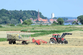 9_5151 Heuernte an der Elbe - die Heuballen werden von Hand auf dem Anhnger verstaut; im Hintergrund Kirchturm und Huser von Lauenburg.