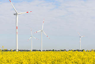 1398 Windkraftanlagen - blhender Raps; Bilder aus Neuenfelde b. Elmshorn.