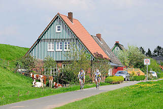 1195 Wohnhaus am Deich in Seestermhe - weiss grner Giebel / Hausfassade - Radfahrer auf der Deichstrasse. 