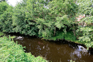 7311 Archologisches Denkmal vom Alster-Beste-Kanal in Slfeld; erbaut ab 1526. Es sollte eine schiffbare Verbindung zwischen Hamburg und Lbeck angelegt werden - der Kanal sollte die Alster mit der Beste verbinden.