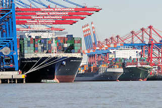 5985 Containerfrachter CMA CGM JULES VERNE im Hamburger Hafen unter den Containerbrcken vom Container Terminal Burchardkai - dahinter legt ein Feederschiff an.