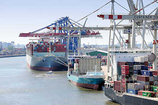 5205 Containerschiff unter Containerbrcken im Hamburger Hafen, Container Terminal Tollerort.