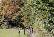 0229 Bezirk Hamburg Wandsbek Stadtteil Bergstedt Naturschutzgebiet Hainesch Iland