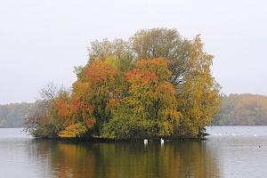 Hamburg Billstedt ist ein Stadtteil im Bezirk Hamburg-Mitte. Billstedt entstand 1928 als Zusammenschluss der bis dahin selbstndigen Drfern Kirchsteinbek, jendorf und Schiffbek. Im Zuge des Gro Hamburg Gesetzes wurde es 1937 nach Hamburg eingemeindet. Billstedt hat eine Flche von 16,8 km und knapp 70 000 Einwohner. Bilder aus dem Stadteil Billstedt. Oejendorfer Park Insel mit Herbstbumen - jendorfer See - Hamburger Naherholungsgebiet.