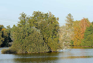 9423 See am Jenfeder Moor - Insel mit Bumen, am Seeufer Bume mit Herbstlaub.