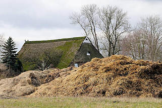 6637 Misthaufen vor einem Bauernhaus - Reetdachgebude am Neulaender Elbdeich.