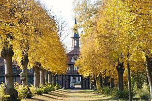 Allee mit Herbstbumen, Linden im Herbst - Weg beim Torhaus, erbaut um 1757 - Stadtteil Hamburg Wellingsbttel. Motive aus den Hamburger Stadtteilen und Bezirken - Bilder von Hamburg WELLINGSBTTEL, Bezirk Hamburg WANDSBEK. Wellingsbttel, erstmals 1296 urkundlich erwhnt, befand sich seit 1412 im Besitz der Bremer Erzbischfe. Mit dem Westflischen Frieden 1648 gelangte das Gut an Schweden. Unter Knigin Christine wurde Wellingsbttel 1649 vererblicher Besitz des Juristen Reinking, letzter Kanzler der Bremer Erzbischfe. 1673 erwarb die Familie v. Kurtzrock das Gut, die es 1806 an Dnemark verkauften Nach unterschiedlichen Eigentmern brachte es der Hamburger Kaufmann Otto Jonathan Hbbe, der es 1910 in die Alsterthal-Terrain-Gesellschaft m.b.H. einbrachte, die das Gut fr den Eigenheimbau aufteilte. Jetzt leben auf 4,1 km ca. 9500 Menschen.  