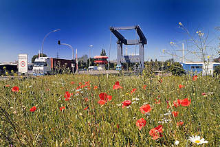 0903 Die Reiherstiegklappbrcke wurde 1982 erbaut, ist mit einer der grten ihrer Art in Europa - Brache mit blhendem Mohn am Strassenrand.