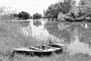 2909 Flusslandschaft an der Havel bei Havelberg - Bume am Wasser / Ziegeninsel; ein Holzkahn am Ufer