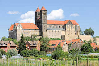 1_6371 Blick über Gemüsefelder zum Quedlinburger Schlossberg - romanische Stiftskirche St. Servatius, geweiht 1129; Renaissanceschloss aus dem 16./17. Jahrhundert jetzt Sitz vom  Städtischen Museum.