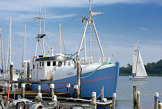 3940 Fischereiboot am Ufer der Schlei in Arnis - Segelboot unter Segeln auf dem Wasser.