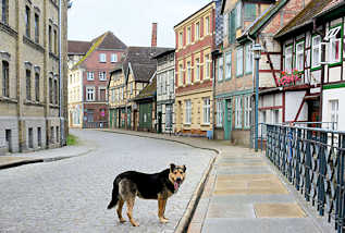 1150 Historische Architektur an der Mühlenstrasse in Grabow - einsamer Hund auf der Strasse.