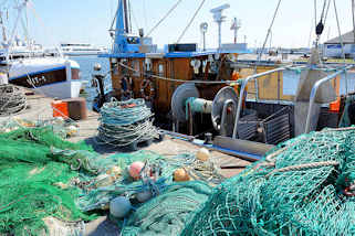 6769 Netze und Tauwerk am Kai vom Hafen Vite auf Hiddensee - Fischkutter.