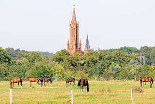 9202 Kirchturm der Klosterkirche von Malchow; Ursprungsbau 1849, neogotischer Backsteinstil; grasende Pferde auf einer Weide.
