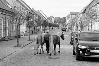 9448 Wohnhäuser in der Töpferstrasse von Mirow; Kopfsteinplaster - moderne Autos, zwei Pferde werden am Halfter geführt.