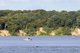 3600 Mit Bumen bewachsene Insel Vilm vor Lauterbach / Rgen - die Insel gehrt zum Biosphrenreservat Sdost Rgen. 